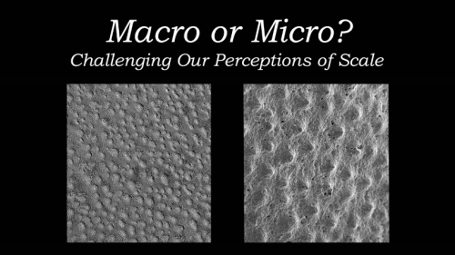 macro micro poster